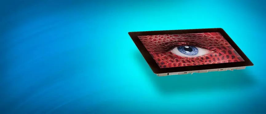 Intelligent TFT Displays Intelligent TFT Displays