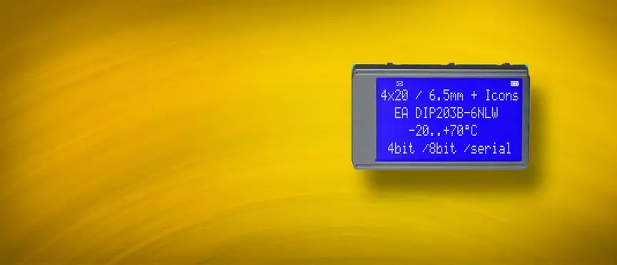 EA DIP203B-6NLW EA DIP203B-6NLW