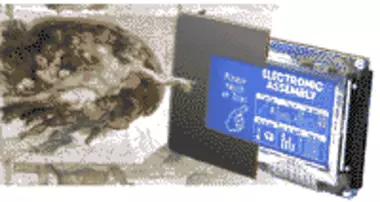 Divine input for displays, modules, panels